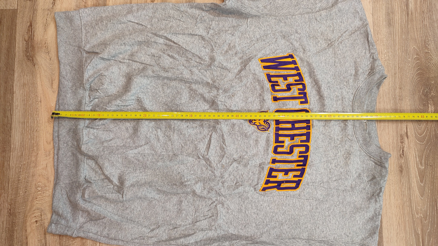 Vêtement Homme Sweatshirts Sweats pull gris Champion taille L #Retrostreet